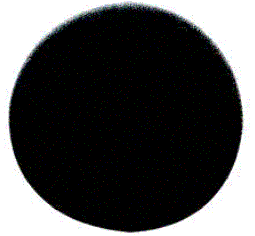 CLEANSTAR- FILTER FOR CUTLASS