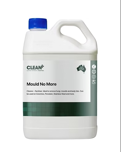 CLEAN PLUS - MOULD NO MORE