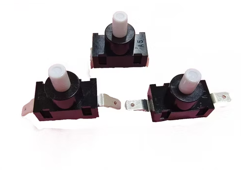 CLEANSTAR- SPRING FOR BUTTON (POWERSWITCH)