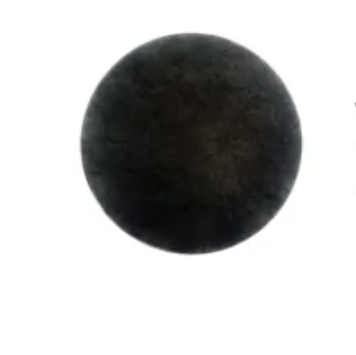 CLEANSTAR- PRE-MOTOR FILTER-VC10LP