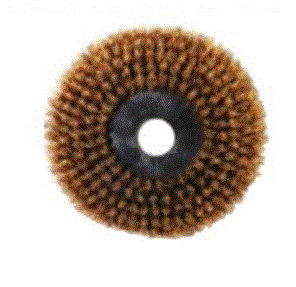 [VMIRA-SPA0026.P] CLEANSTAR – BRUSH 1PCPES BROWN SOFT - MIRA
