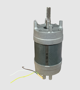 [F25-19] CLEANSTAR – COMPLETE MOTOR F25 &amp; M30