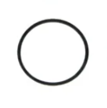 CLEANSTAR-O-RING FOR CLEANSTAR BUTLER