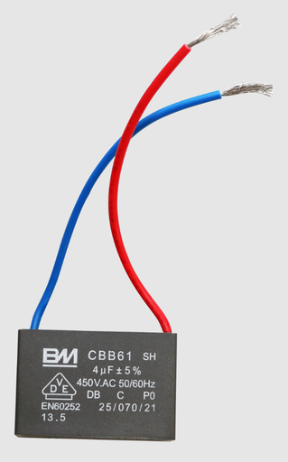 [P-230AT-07] CLEANSTAR –CAPACITOR