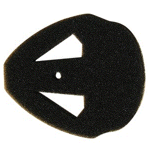 [T1-25] CLEANSTAR – EXHAUST FILTER FOR T1